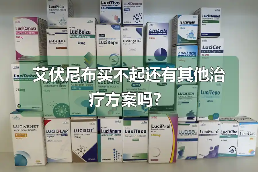 艾伏尼布买不起还有其他治疗方案吗？